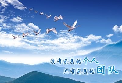 陆台公司2019年新春团拜会